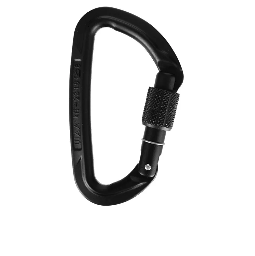 Wild Country Session Screw Gate Carabiner - SS25